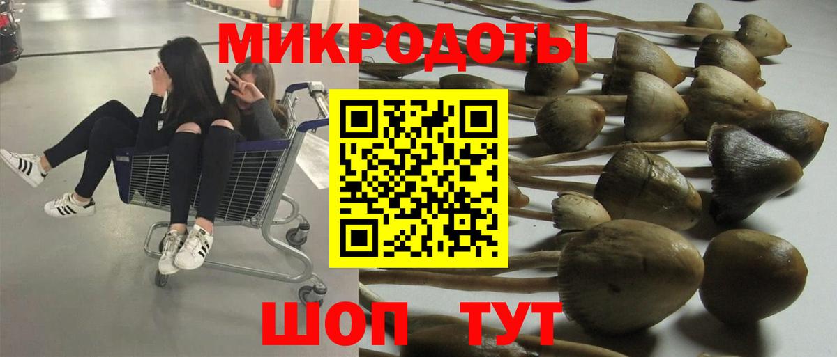 Гусь-Хрустальный  Псилоцибиновые грибы Psilocybe  Вход с VPN 